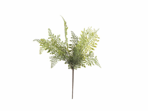 BUSH FELCE CRESPA VERDE