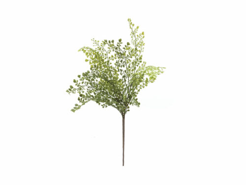 BUSH CAPEL VENERE VERDE