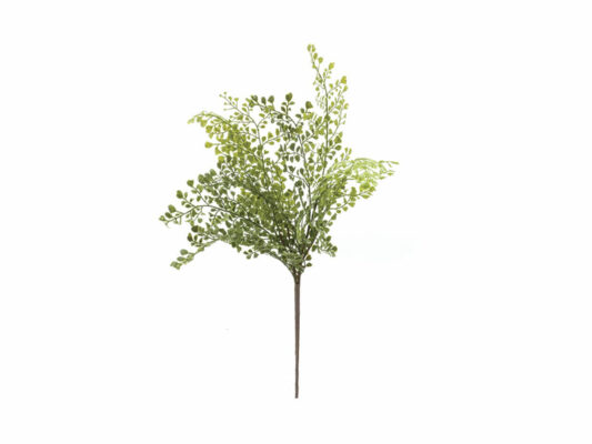 BUSH CAPEL VENERE VERDE