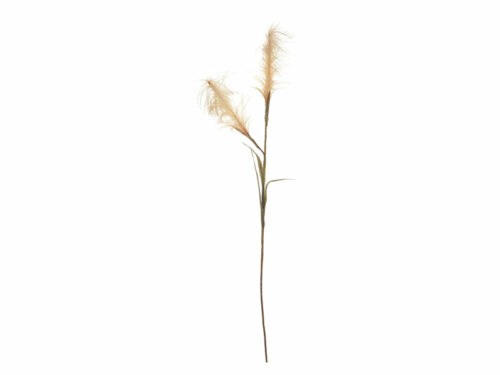 PAMPAS ARTIFICIALE CREMA