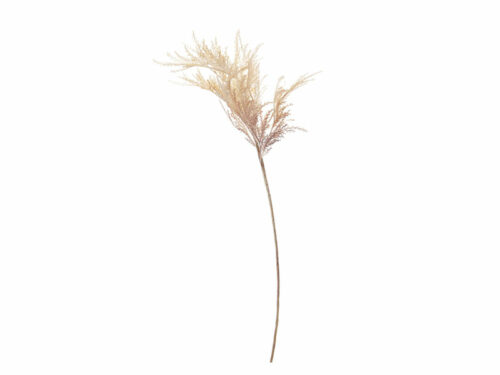 PAMPAS ARTIFICIALE CREMA