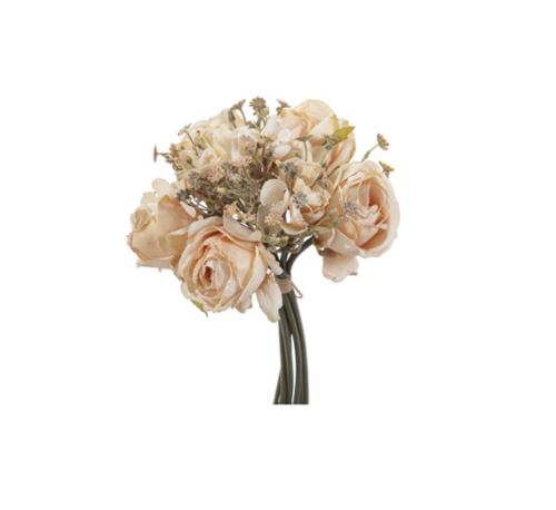 Bundle rose katy finto secco crema – BRUCO