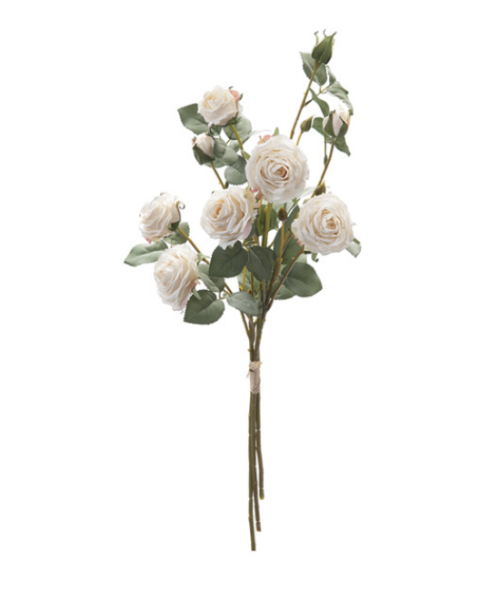 BUNDLE X3 ROSE CAROLINE DRIED CM70 BIANCO – BRUCO