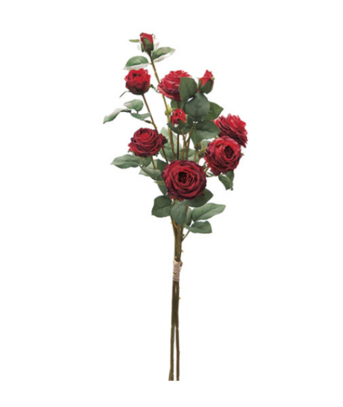BUNDLE ROSE CAROLINE DRIED CM70 ROSSO – BRUCO