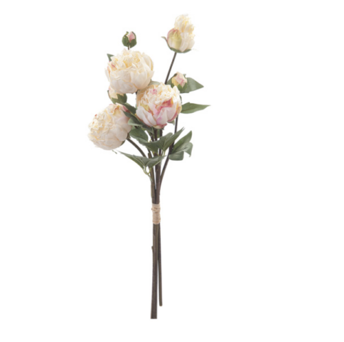 BUNDLE PEONIE SECCO CM72 CREMA/ROSA – BRUCO