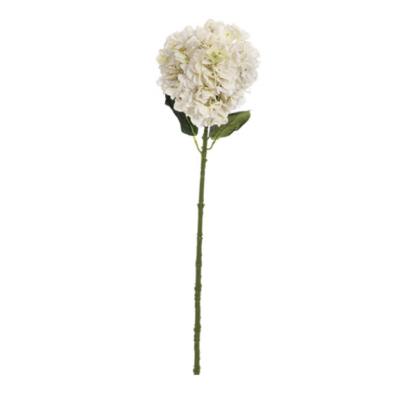 ORTENSIA FINTO SECCO CM66 BIANCO - BRUCO