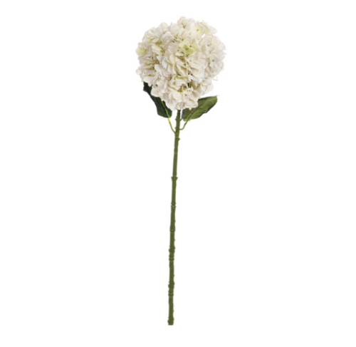 ORTENSIA FINTO SECCO CM66 BIANCO – BRUCO