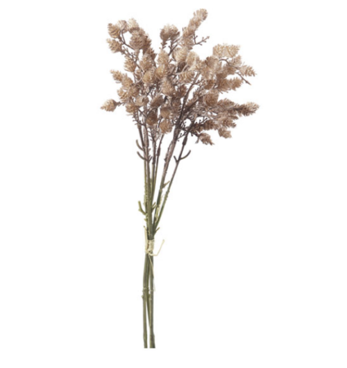 BUNDLE WILD FRUIT CM45 NATURAL – BRUCO