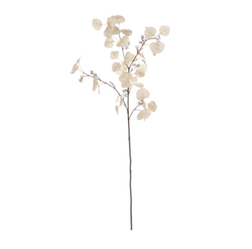 RAMO EUCALIPTUS AUTUMN CM109 CREMA – BRUCO