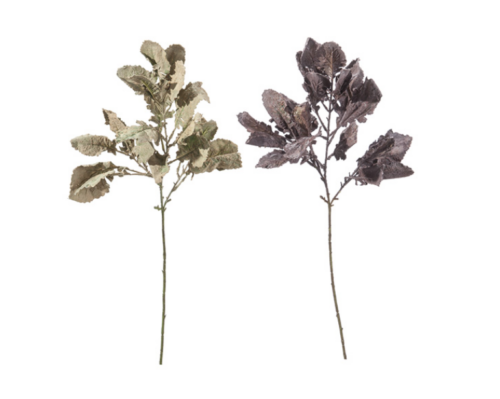 RAMO VERDE CM83 VERDE/PURPLE – BRUCO