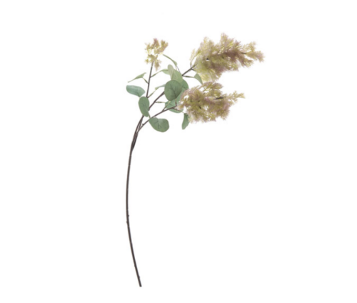 RAMO COTINUS CM89 VERDE/LILLA – BRUCO