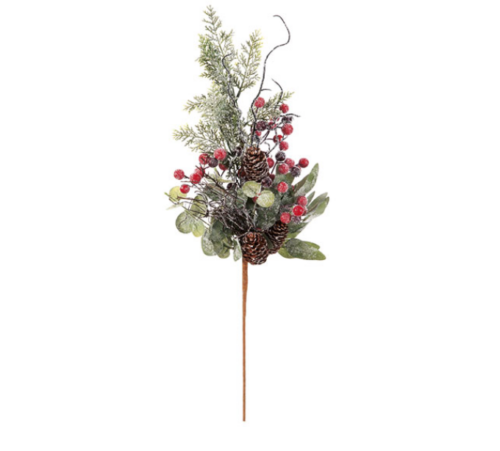 RAMO PINO FROSTED PIGNE E BACCHE – JOLIPA