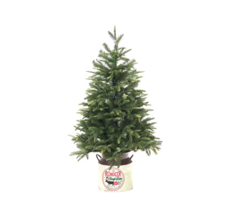 ABETE CON MASTELLINO – BRUCO
