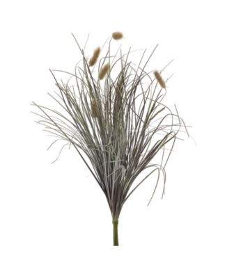 BUSH GRASS E SETARIA CM66 VERDE