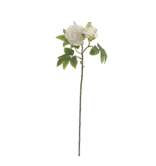 PEONIA CON BOCCIOLO BIANCO