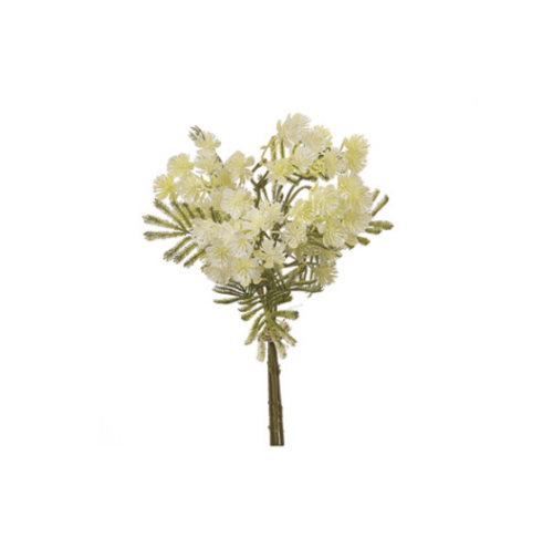 BUNDLE ACACIA BIANCO