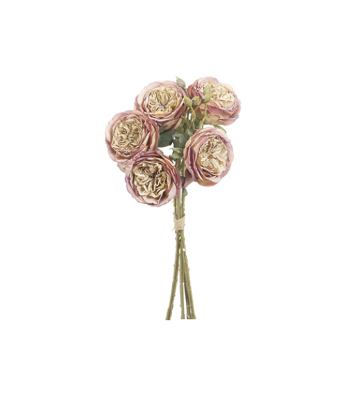 BUNDLE ROSE ROSA – BRUCO