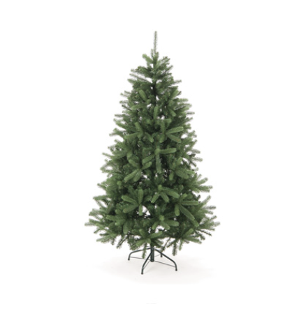 ABETE TRENTINO H150 – BRUCO