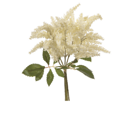 BUNDLE ASTILBE BIANCO - BRUCO