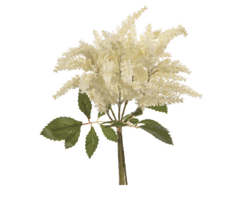 BUNDLE ASTILBE BIANCO – BRUCO