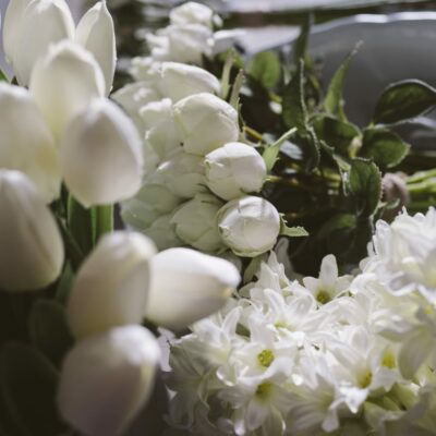 gardenia floral design, fiori a cesena