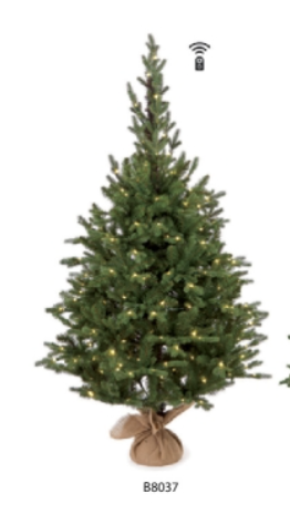 Albero di Natale abete adamello h150