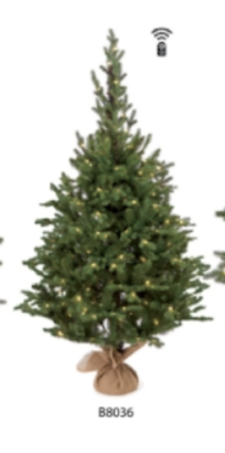 Albero di Natale abete adamello h120