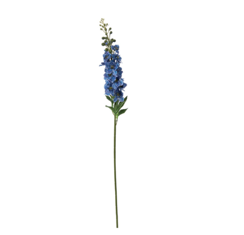 DELPHINIUM CM87 BLU – BRUCO