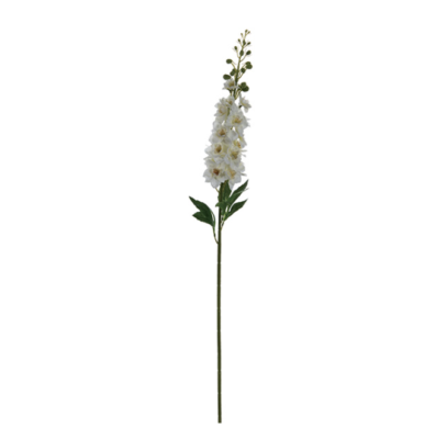 DELPHINIUM CM87 BIANCO - BRUCO