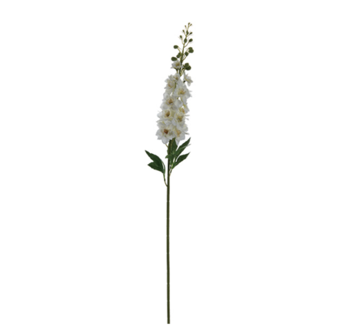 DELPHINIUM CM87 BIANCO – BRUCO