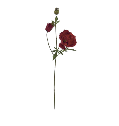 PAPAVERO C/BOCCIOLO CM82 ROSSO – BRUCO