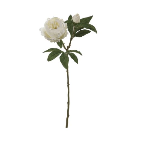 PEONIA C/BOCCIOLO CM62 REALTOUCH BIANCO – BRUCO