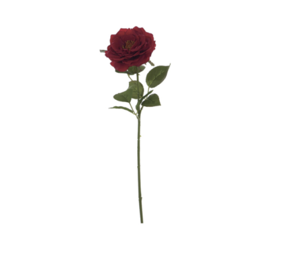 ROSA GIARDINO CM60 REAL TOUCH ROSSO - BRUCO