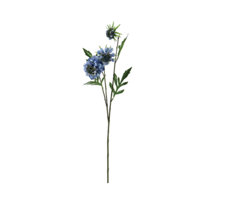 SCABIOSA CM65 BLU - BRUCO