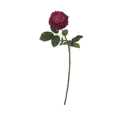 ROSA INGLESE CM45 REAL TOUCH FUXIA - BRUCO