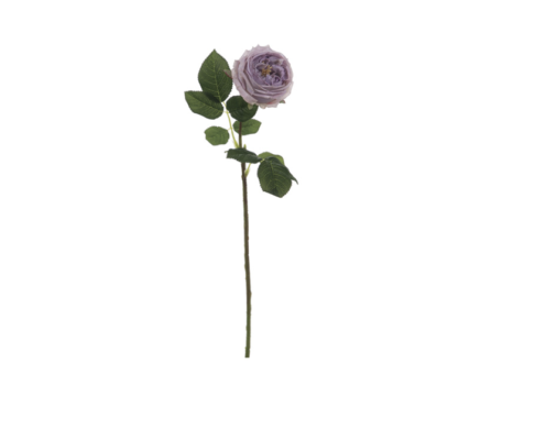 ROSA INGLESE CM45 REAL TOUCH LAVANDA - BRUCO
