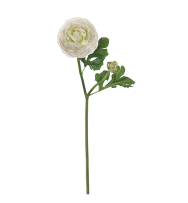 RANUNCOLO REAL TOUCH KATY X2 CM51 BIANCO - BRUCO