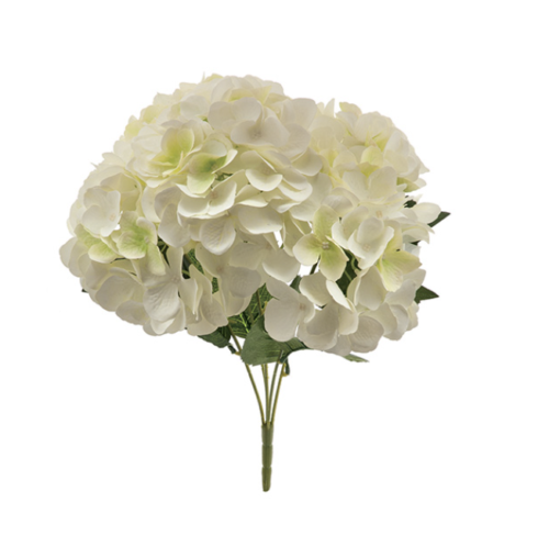 BUSH ORTENSIE CHANTAL X5 CM45 BIANCO – BRUCO