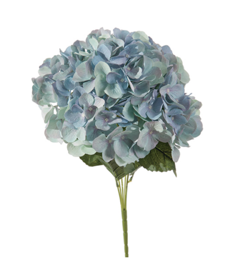 BUSH ORTENSIE CHANTAL X5 CM45 BLU – BRUCO