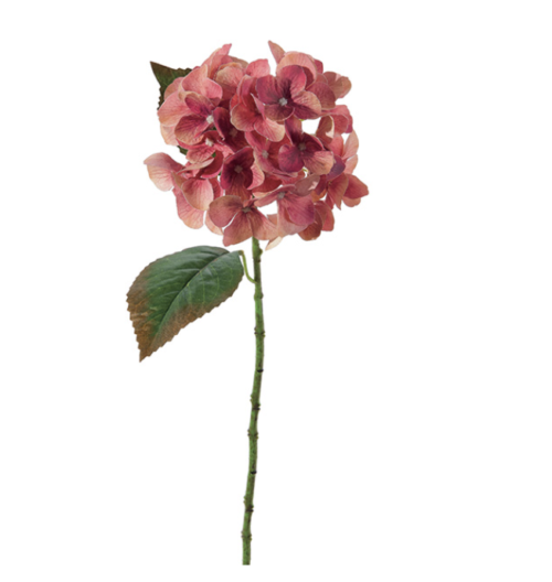 ORTENSIA CHANTAL X5 CM54 CERISE – BRUCO