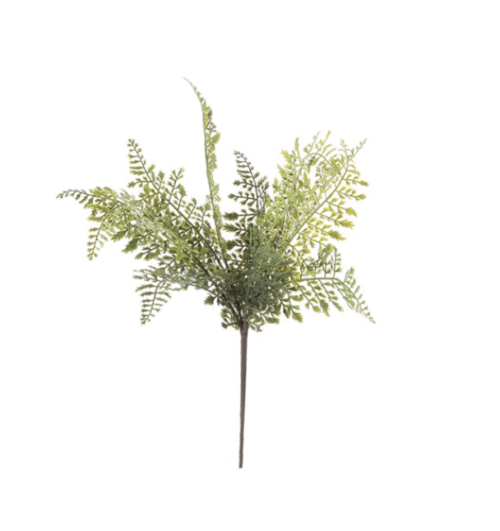 BUSH FELCE CRESPA CM40 VERDE – BRUCO
