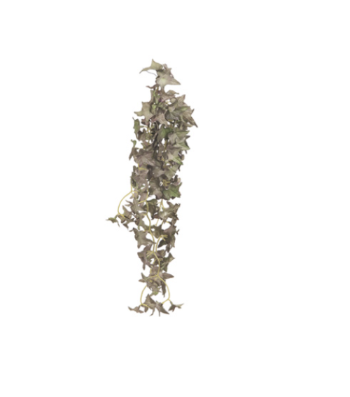 BUSH EDERA PENDENTE X7 CM53VERDE-PURPLE – BRUCO