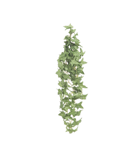BUSH EDERA PENDENTE X7 CM53VERDE – BRUCO