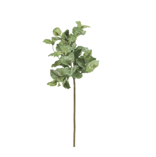 RAMO MENTA CM53 VERDE – BRUCO
