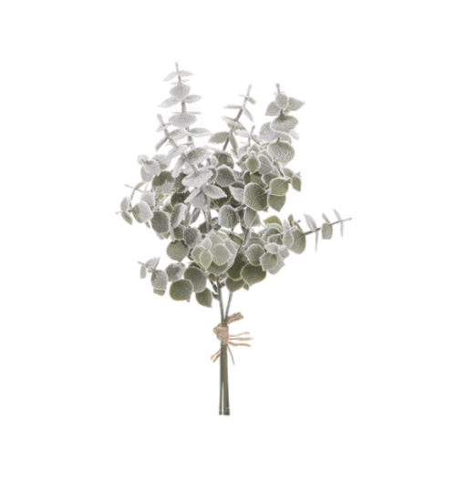 BUNDLE EUCALIPTUS INNEVATO – Bruco