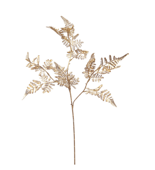 RAMO FELCE ORO – Bruco