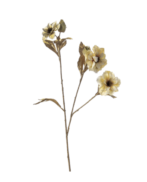 RAMO ELLEBORO CREMA – Bruco