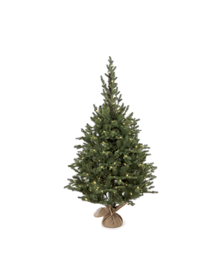 ABETE ADAMELLO H150 CON LUCI E BASE JUTA – Bruco