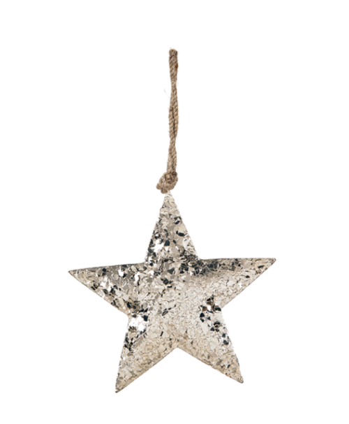 STELLA METAL IN PAILLETTES ARGENTO – Bruco