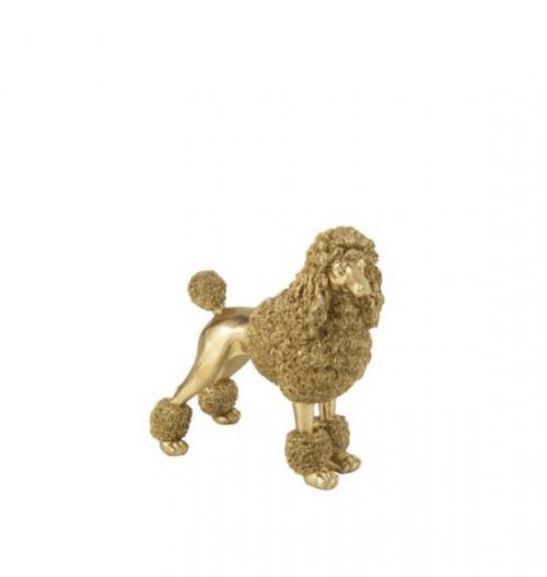 Barboncino gold in piedi – Jolipa